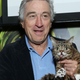 Best Photo Ever: When Bobby De Niro Met Lil Bub